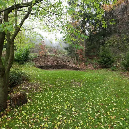 Modern In Wit Garden
