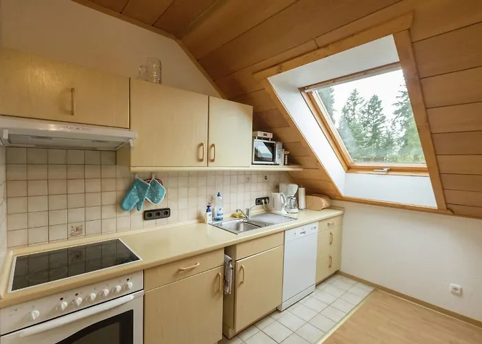 In Near Harz Park * Bad Grund